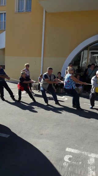 42900696_1733397813449982_3051211747093381120_n